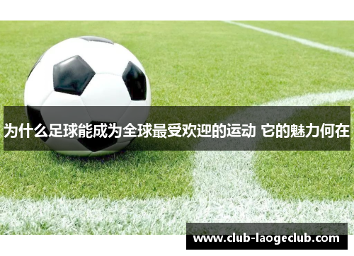 为什么足球能成为全球最受欢迎的运动 它的魅力何在 为什么足球能成为全球最受欢迎的运动 它的魅力何在