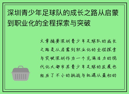 深圳青少年足球队的成长之路从启蒙到职业化的全程探索与突破 深圳青少年足球队的成长之路从启蒙到职业化的全程探索与突破