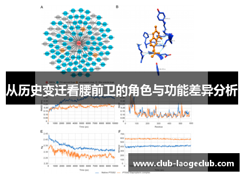 从历史变迁看腰前卫的角色与功能差异分析 从历史变迁看腰前卫的角色与功能差异分析