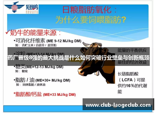 药厂晋级8强的最大挑战是什么如何突破行业壁垒与创新瓶颈 药厂晋级8强的最大挑战是什么如何突破行业壁垒与创新瓶颈