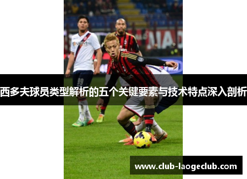 西多夫球员类型解析的五个关键要素与技术特点深入剖析 西多夫球员类型解析的五个关键要素与技术特点深入剖析