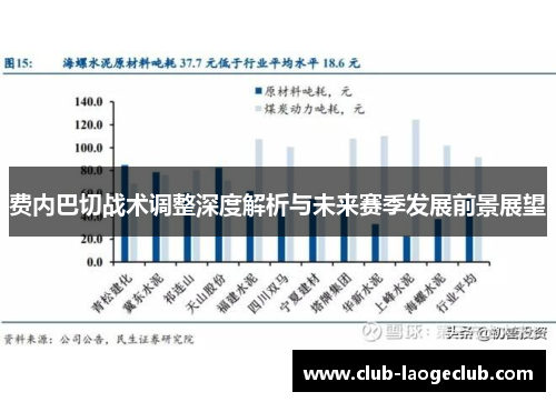 费内巴切战术调整深度解析与未来赛季发展前景展望