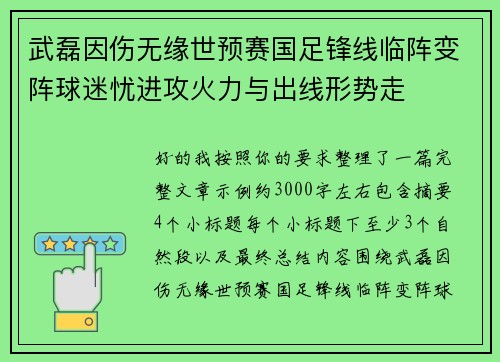 武磊因伤无缘世预赛国足锋线临阵变阵球迷忧进攻火力与出线形势走
